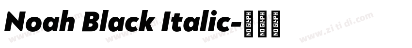 Noah Black Italic字体转换